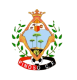 Escudo Pinoso CF